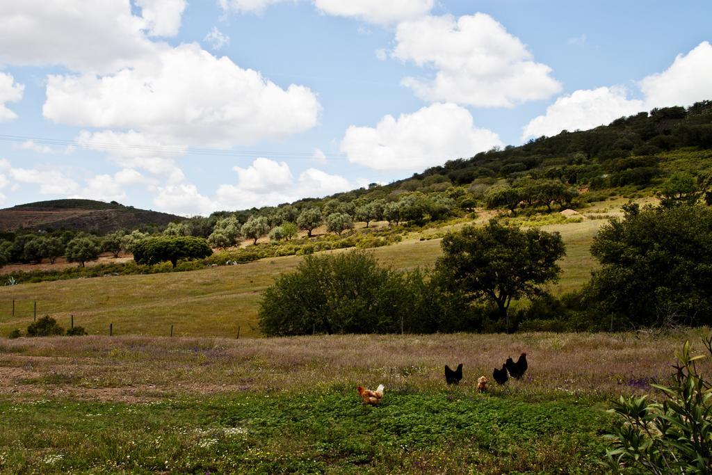 O Monte Do Alhinho - Turismo Rural Monte Costa Dış mekan fotoğraf